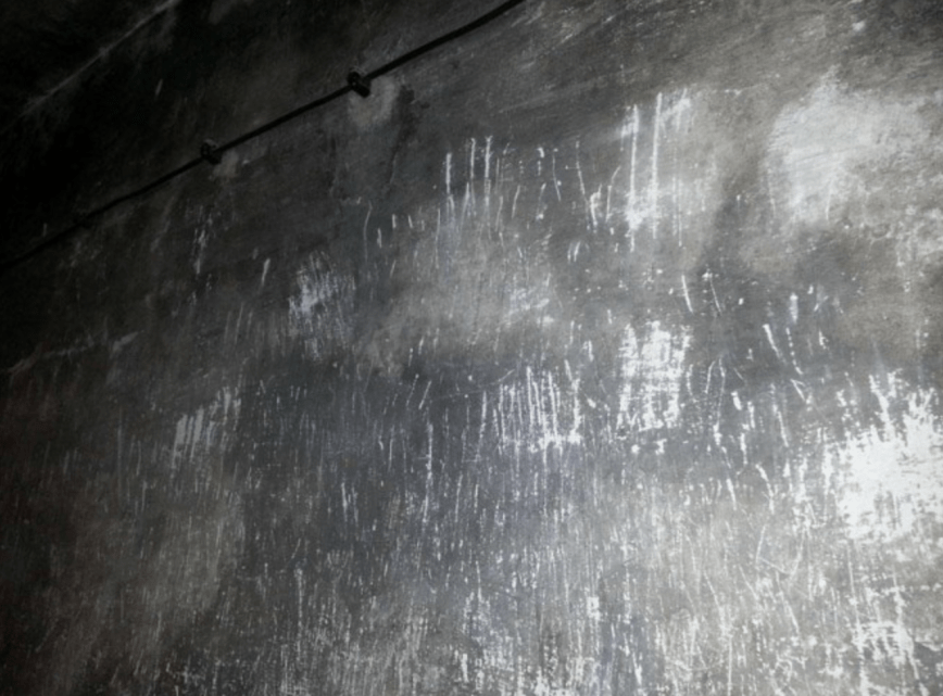 Screen Shot 2016-03-07 at 11.32.25 AM.png