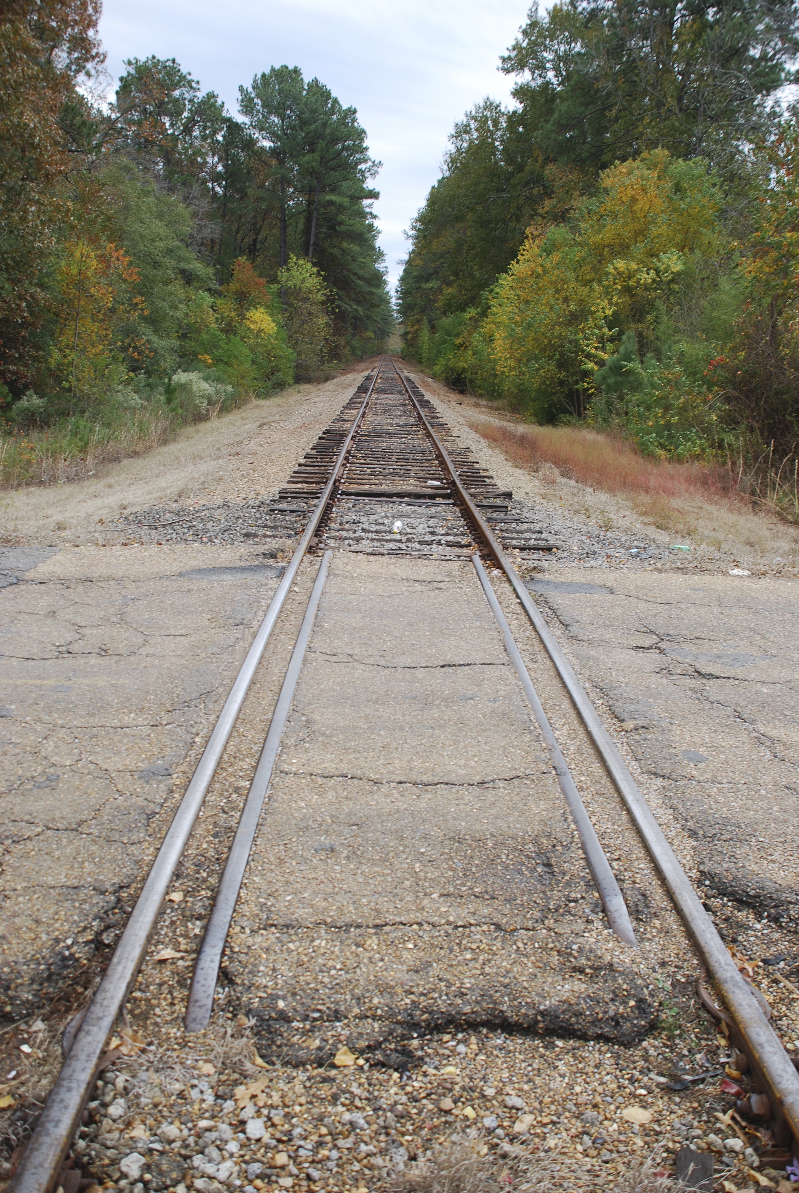 The wooden crossing where Bordelon and fugitive McNair met. The tracks show the direction McNair took.