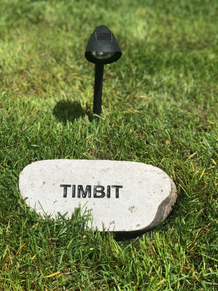 Timbit Memorial Stone.jpg